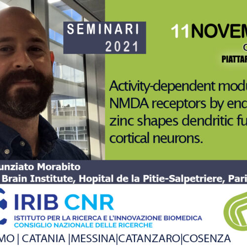 Seminar: Dr. Annunziato Morabito. November 11, 2021