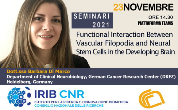 Seminar: Dr. Barbara Di Marco. November 23, 2021
